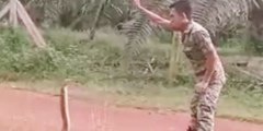 Este soldado se topa con la serpiente venenosa más grande del mundo y su forma de dominarla quita el aliento