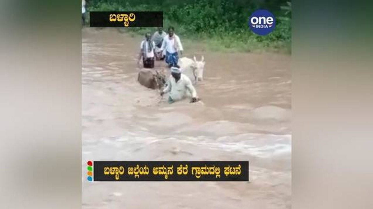 ಕೊಚ್ಚಿ ಹೋಗುತ್ತಿದ್ದ ಹಸುವನ್ನು ರಕ್ಷಿಸಿದ ರೈತ