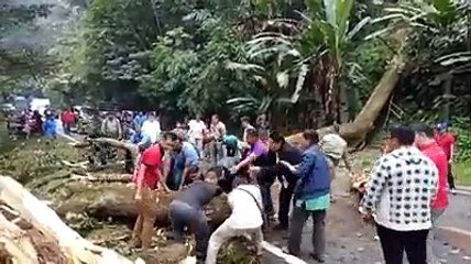 团结就是力量 36秒移走倒树