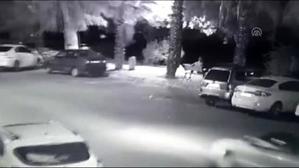 Kapkaççıyı kamera kaydı ele verdi