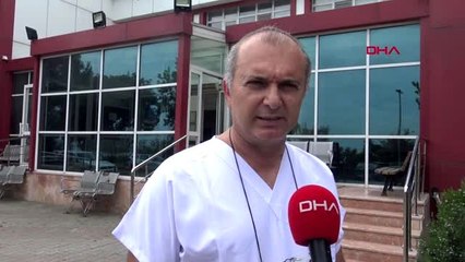 Yılda 50 bin hayvanın tedavi edildiği hastane de kapatıldı