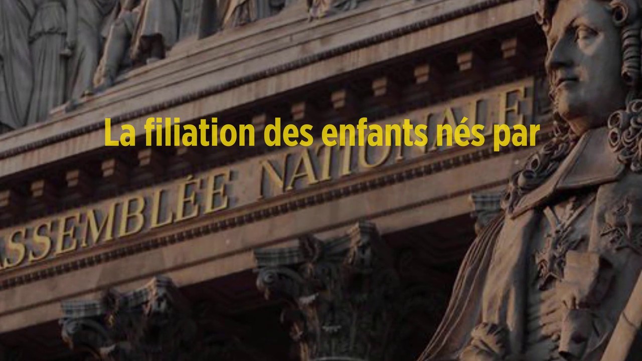 La filiation des enfants nés par GPA à l'étranger votée à l'Assemblée