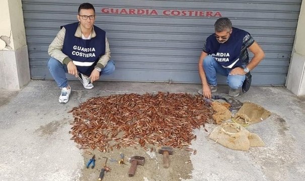 Polignano (BA) - Pesca illegale di datteri di mare: denunce e sequestri (04.10.19)