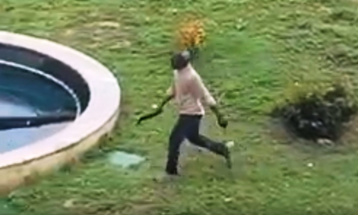 Fermo - Nigeriano armato di machete semina il panico in strada (03.10.19)