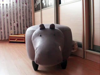 Ce jouet en forme de bébé rhinocéros attire bien des curieux