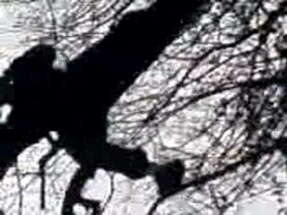 Laché de Flamby (4)