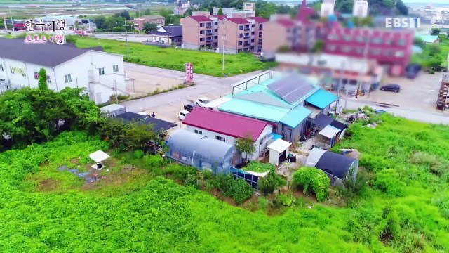 한국기행 - Korea travel_트로트 기행 5부- 브라보! 아빠의 청춘_#002