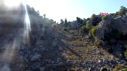 Kahramanmaraş sırtlarında 4 kilometre taşıdıkları defneler, abd'ye ihraç ediliyor -