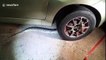 Thai driver shocked to find python tangled inside allow wheel rims