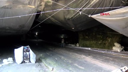 Gaziantep 100 kilogram üretmek için kilometrelerce yol yürüyorlar