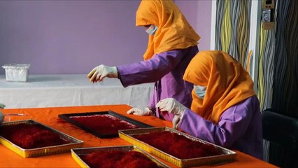 الزعفران ذهب أفغانستان الأفضل بالعالم