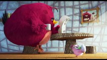 Angry Birds _ Copains comme Cochons - Extrait _Hatchling Eggs_ - VF - Full HD