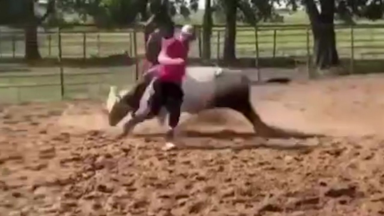 Il cri victoire trop vite après avoir esquivé la charge d'un taureau