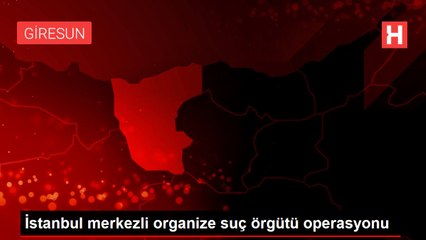 İstanbul merkezli organize suç örgütü operasyonu