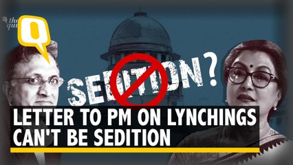 Can the Sedition Case for Letter to PM on Lynchings Stand Scrutiny?