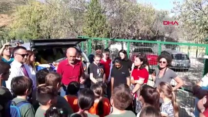 Muğla datça'da öğrencilerden barınaktaki hayvanlara mama desteği