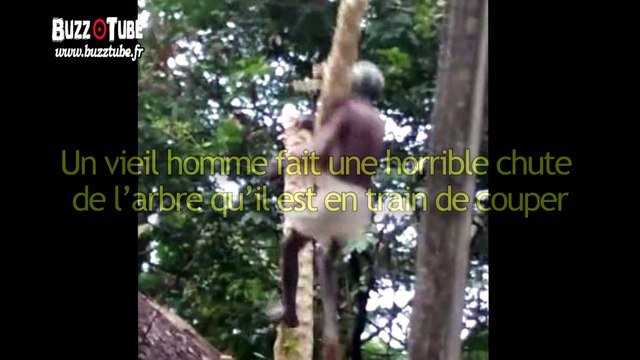 Un vieil homme fait une horrible chute de l’arbre qu’il est en train de couper
