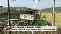 S. Korea to use helicopters in DMZ to prevent spread of African swine fever