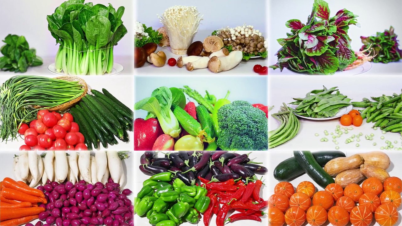 Myanmar Gospel Music Documentary (အရာခပ်သိမ်းအပေါ် အချုပ်အခြာအာဏာ စွဲကိုင်ထားသူ) လူသားမျိုးနွယ် နှင့် အရာခပ်သိမ်းကို ဘုရားသခင် အုပ်စိုးပြီး ဆက်လက်ရှင်သန်တည်ရှိစေခြင်း