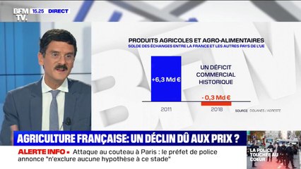 L'agriculture a longtemps été le fleuron du commerce français : comment expliquer le déclin du secteur?