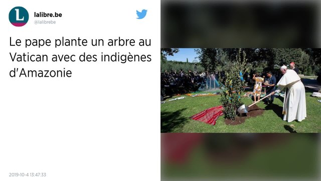 Le pape plante un arbre au Vatican avec des indigènes d’Amazonie