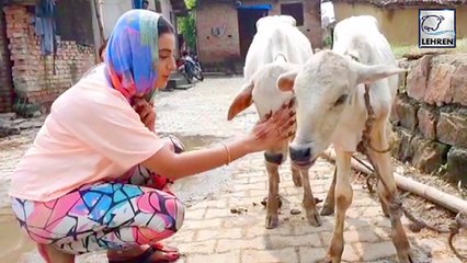 Akshara Singh का यह वीडियो देख आपका दिल खुश हो जाएगा