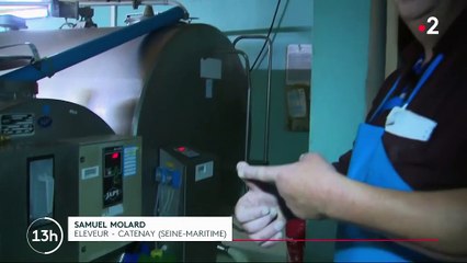 Incendie de l'usine Lubrizol de Rouen : les productions agricoles sont-elles contaminées ?