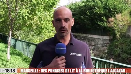 Marseille : des punaises de lit à la bibliothèque de l'Alcazar