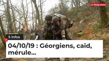 Géorgiens, caïd, mérule... Cinq infos bretonnes du 4 octobre