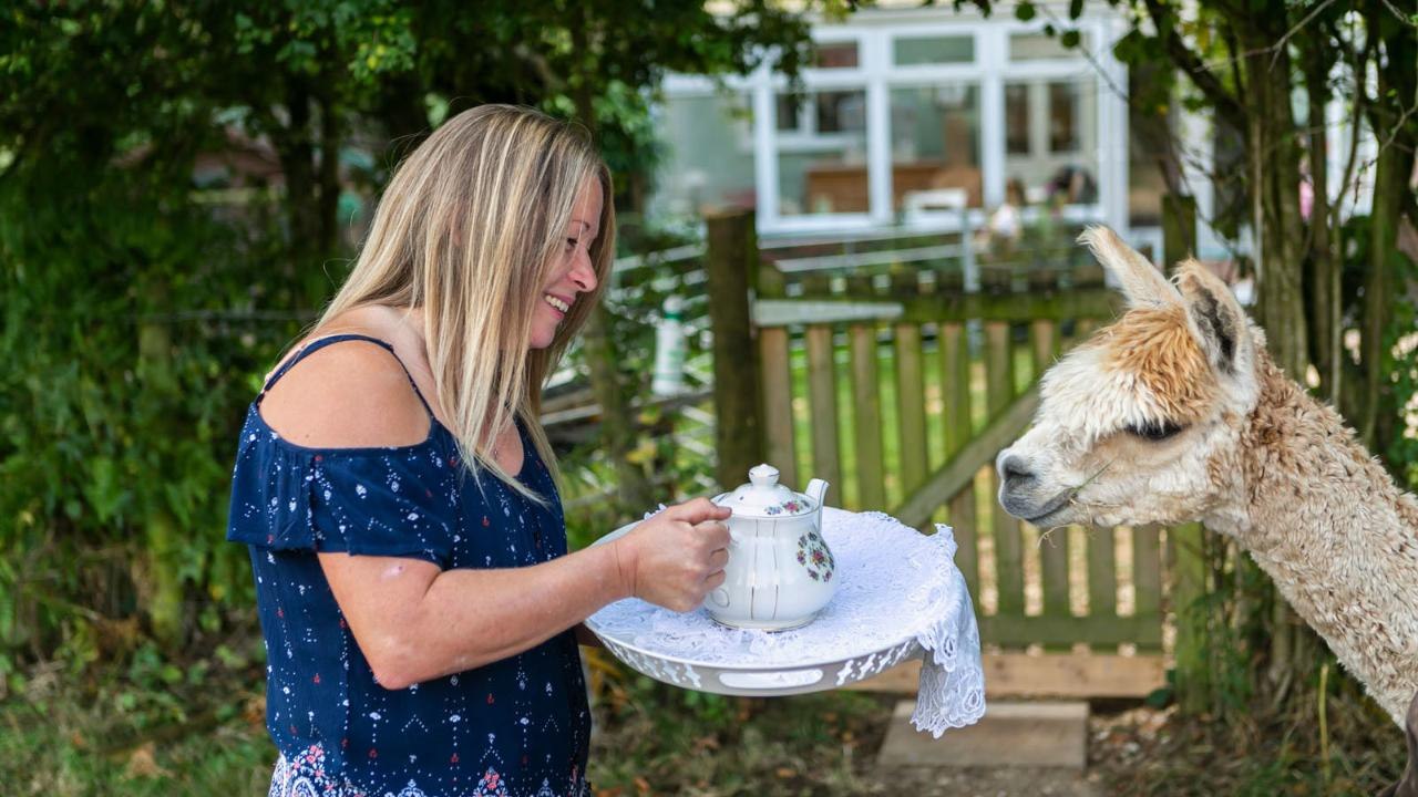 From Surfing Corgis to a Parrot Safari in Brooklyn, Airbnb’s New Animal Experiences Are the Ethical Journeys We’ve Been Waiting For