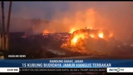 15 Tempat Budidaya Jamur di Bandung Barat Ludes Terbakar