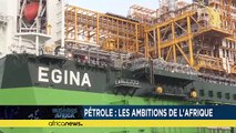 Africa's oil ambitions[Business Africa]