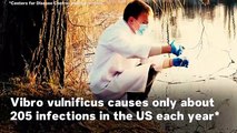 6 Things To Know About Vibrio Bacteria And ‘Flesh-Eating’ Disease In The US