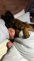 Dog Cuddles Dad