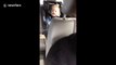 'Don't say that!' Hilarious moment little girl has way too much fun saying very bad word