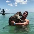 Cet homme nage avec son jaguar de compagnie... Magnifique