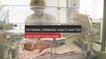 Paternal Drinking Habits Affect Newborns