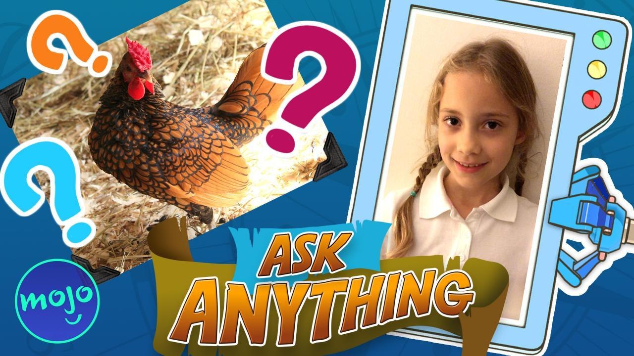 Why Can't Chickens Fly?