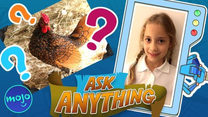 Why Can't Chickens Fly?