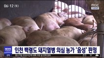 인천 백령도 돼지열병 의심 농가 '음성' 판정