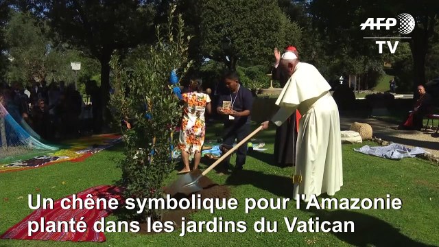Le pape plante un arbre au Vatican avec des indigènes d'Amazonie