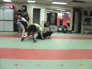 sport mixed martial arts