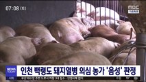 인천 백령도 돼지열병 의심 농가 '음성' 판정