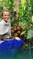 Durian Kura-Kura Khas Kalimantan