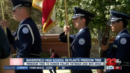 Bakersfield High School re-plants freedom tree
