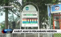 Kabut Asap di Pekanbaru Mereda, Udara Semakin Baik