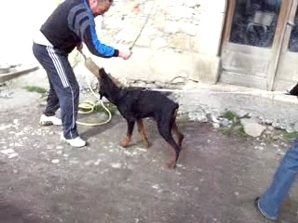 Cyrius 1