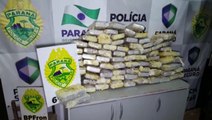 ROTAM apreende grande quantidade de cocaína e deixa R$ 4 milhões de prejuízo a traficantes