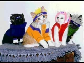 Naruto opening 2 AMV - parodia