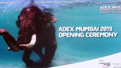 Parineeti Chopra As A brand Ambassador At Opening Ceremony Of Adex Mumbai 2019